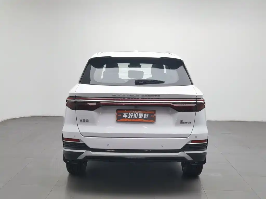 BYD Pro — миниатюра 4
