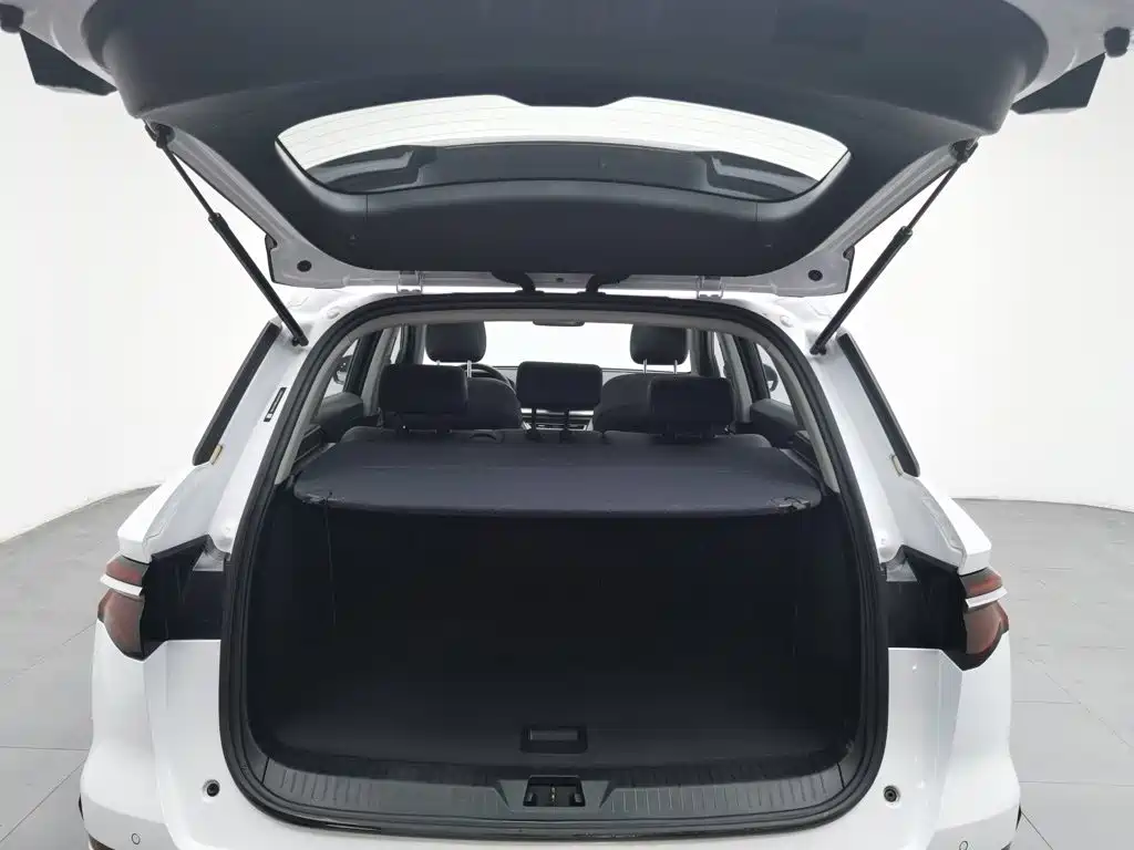 BYD Pro — миниатюра 16