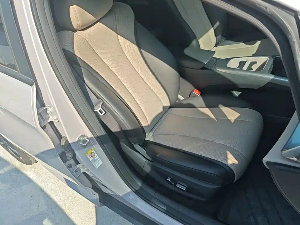 BYD Dolphin — миниатюра 25