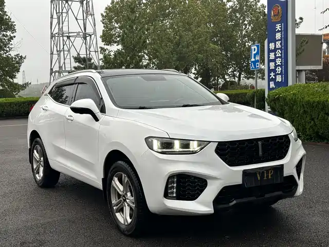 WEI PAI WEI BRAND VV5 2019