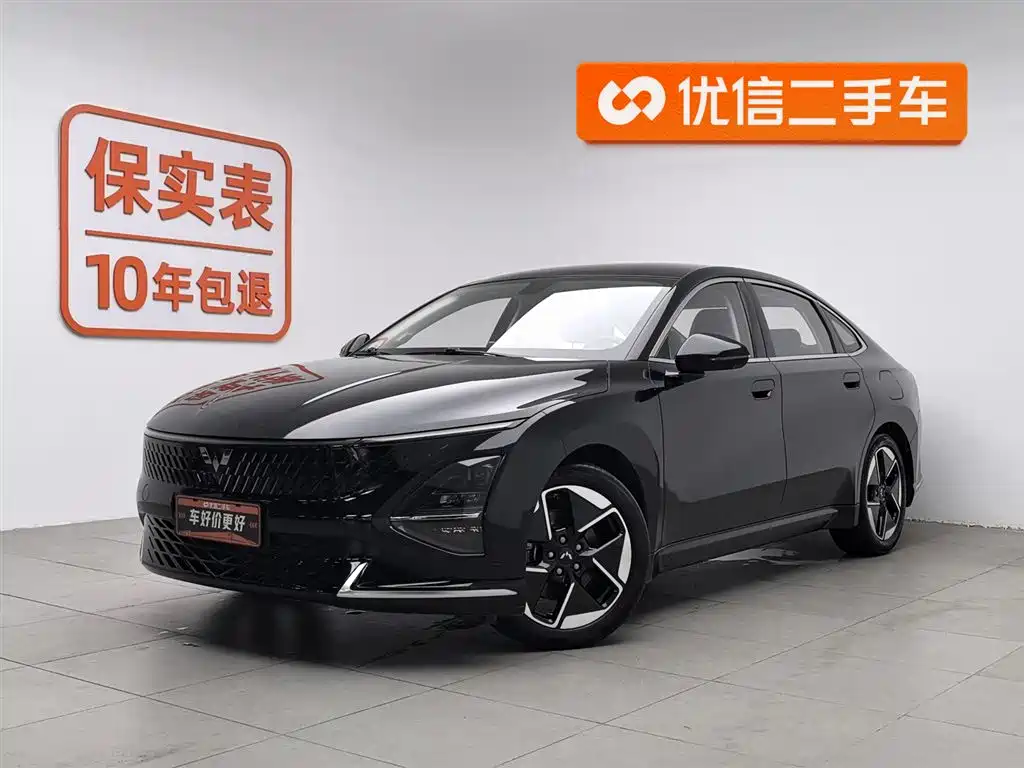 Wuling Xingguang 2024