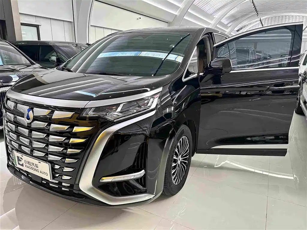 Denza Denza D9 — миниатюра 5