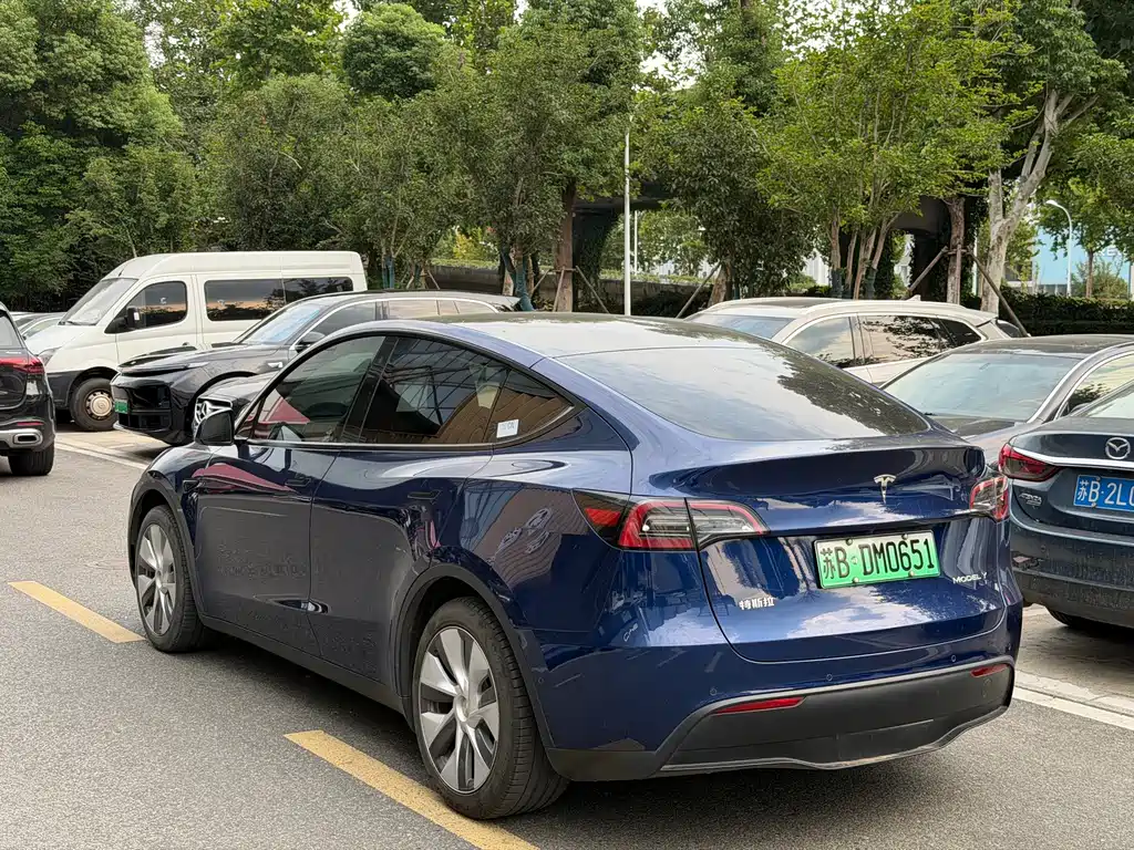 Tesla Model Y — миниатюра 7