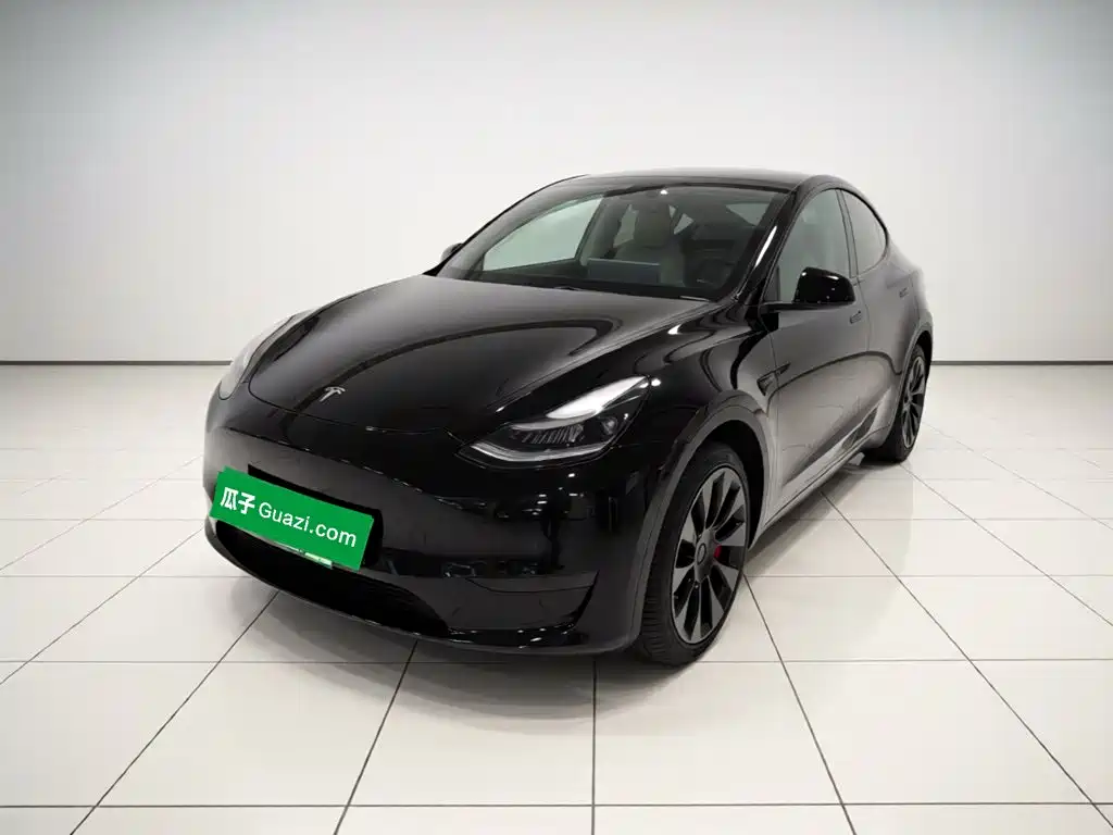 Tesla Model Y — миниатюра 2