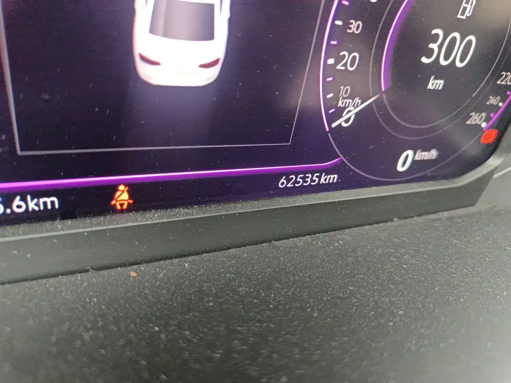 Volkswagen Magotan 2023 200 330TSI DSG Luxury