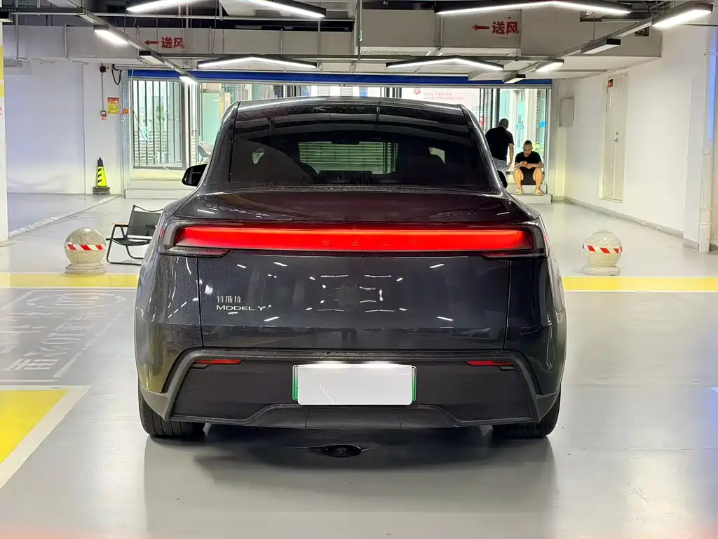 Tesla Model Y — миниатюра 3