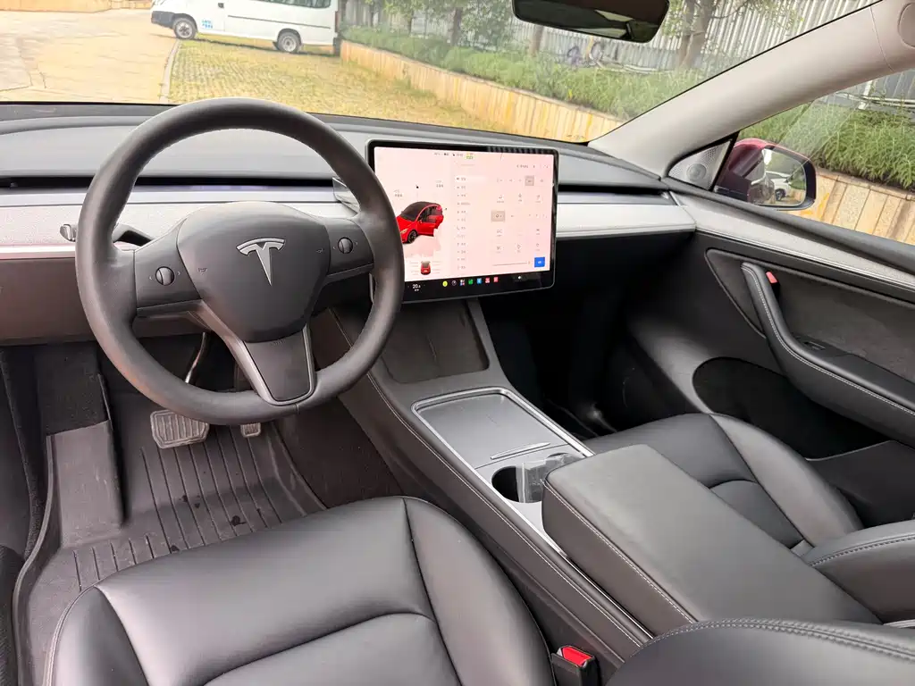 Tesla Model Y — миниатюра 22