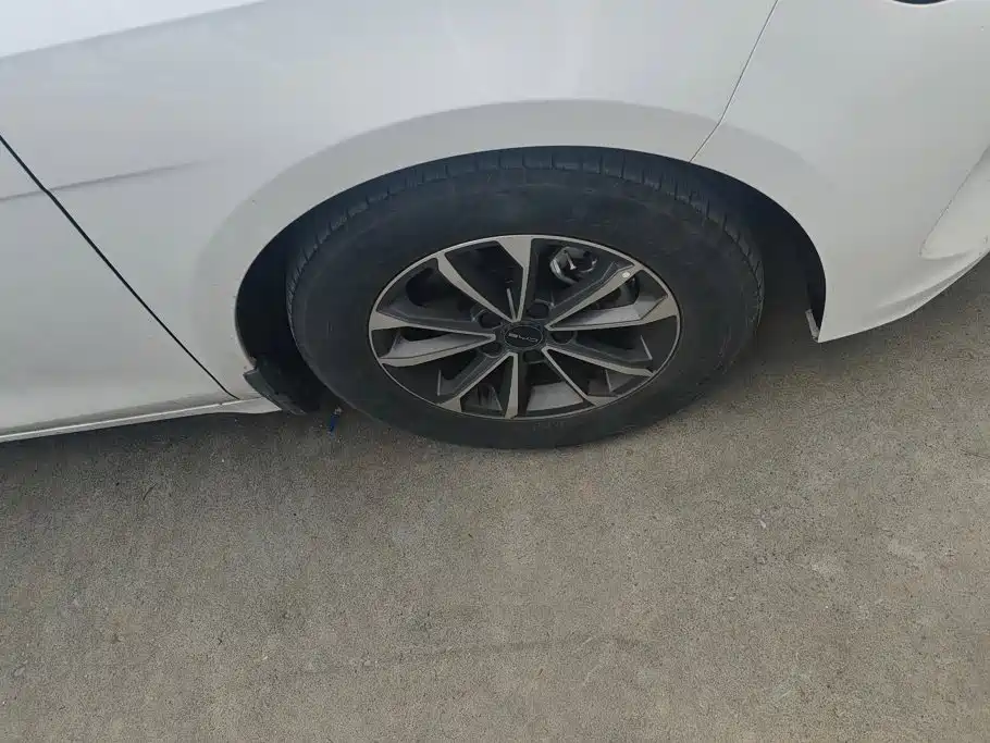 BYD Destroyer 05 2023 Champion DM-i 55KM Luxury