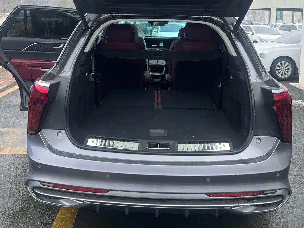 Hongqi Hongqi E-HS9 - фото 15