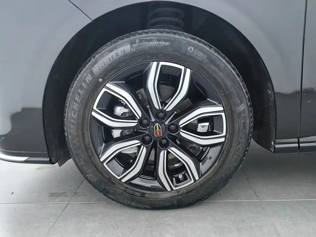 Hongqi Hongqi HQ9 — миниатюра 17