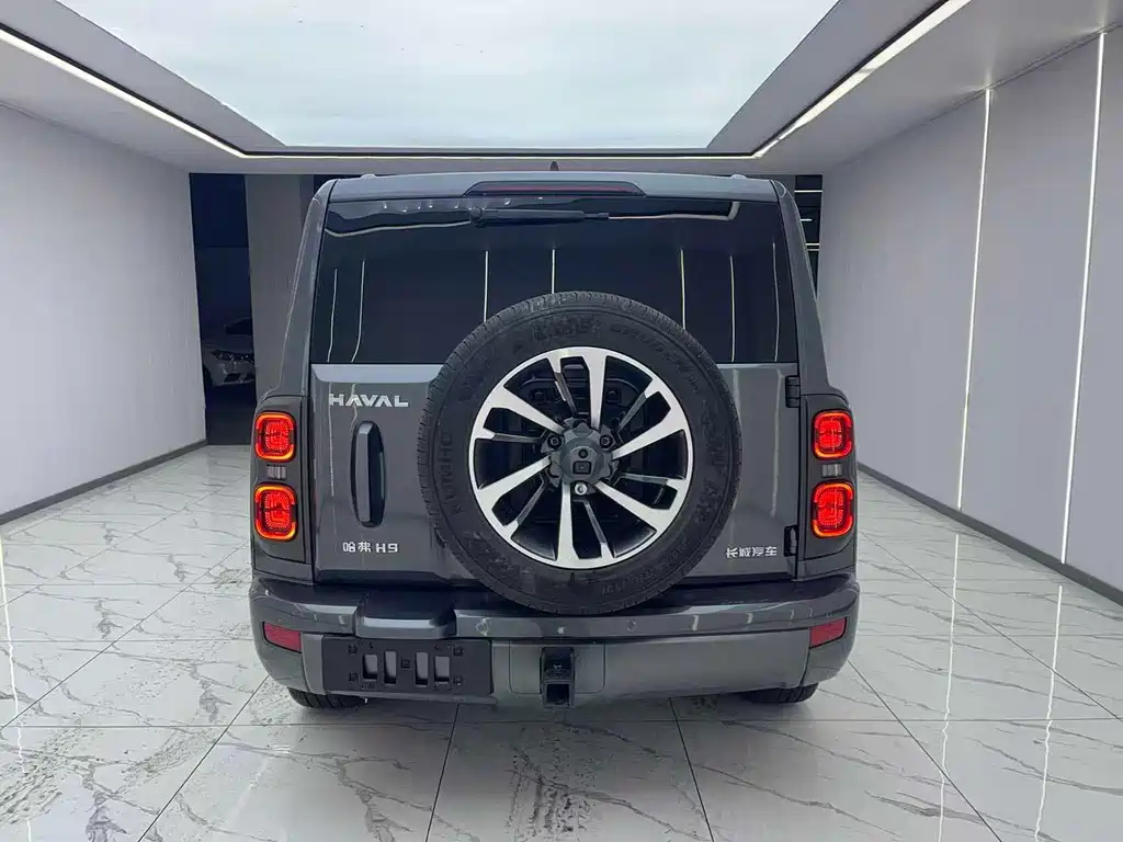 HAVAL H9