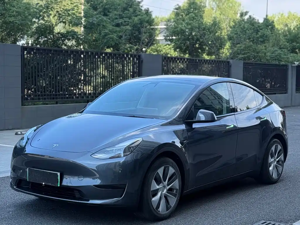 Tesla Model Y — миниатюра 6