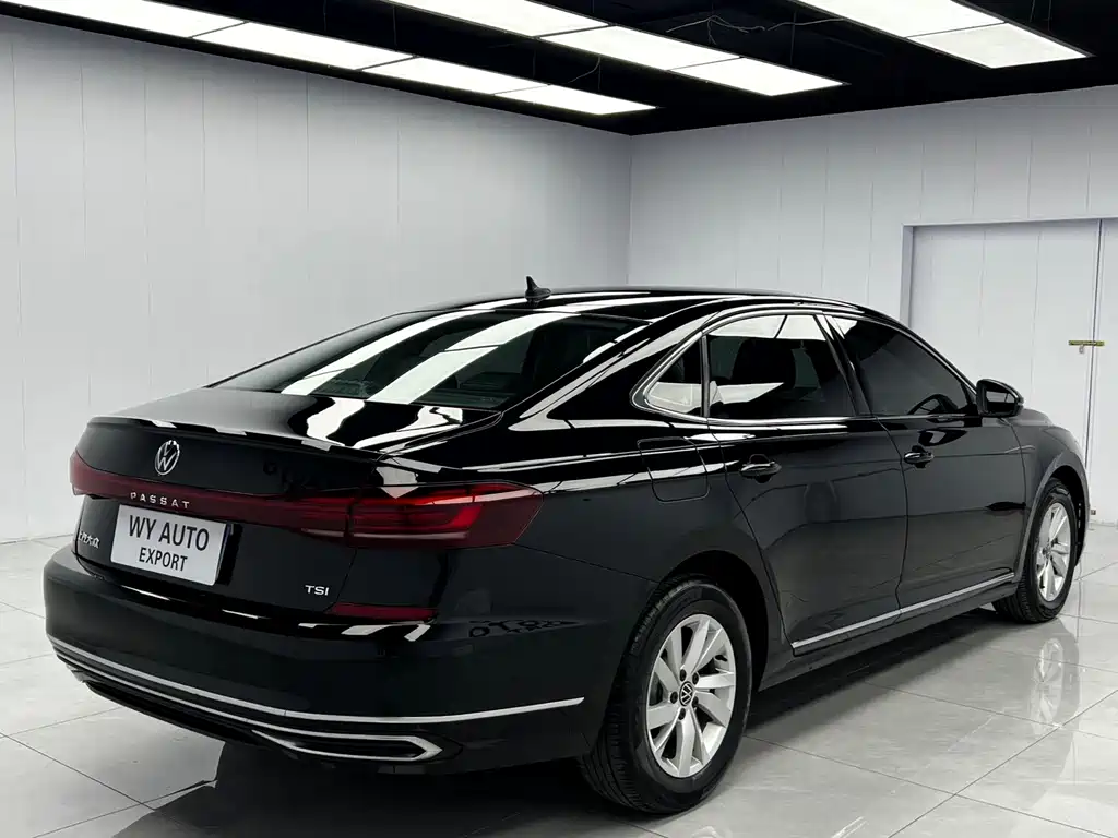 Volkswagen Passat — миниатюра 4