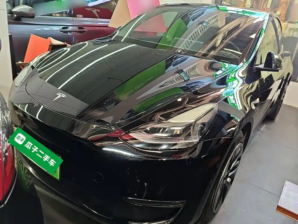 Tesla Model Y — миниатюра 2
