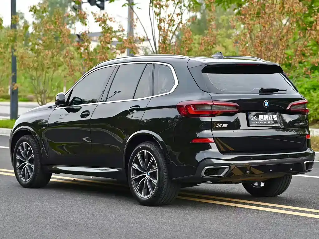 BMW X5 (Import) — миниатюра 17