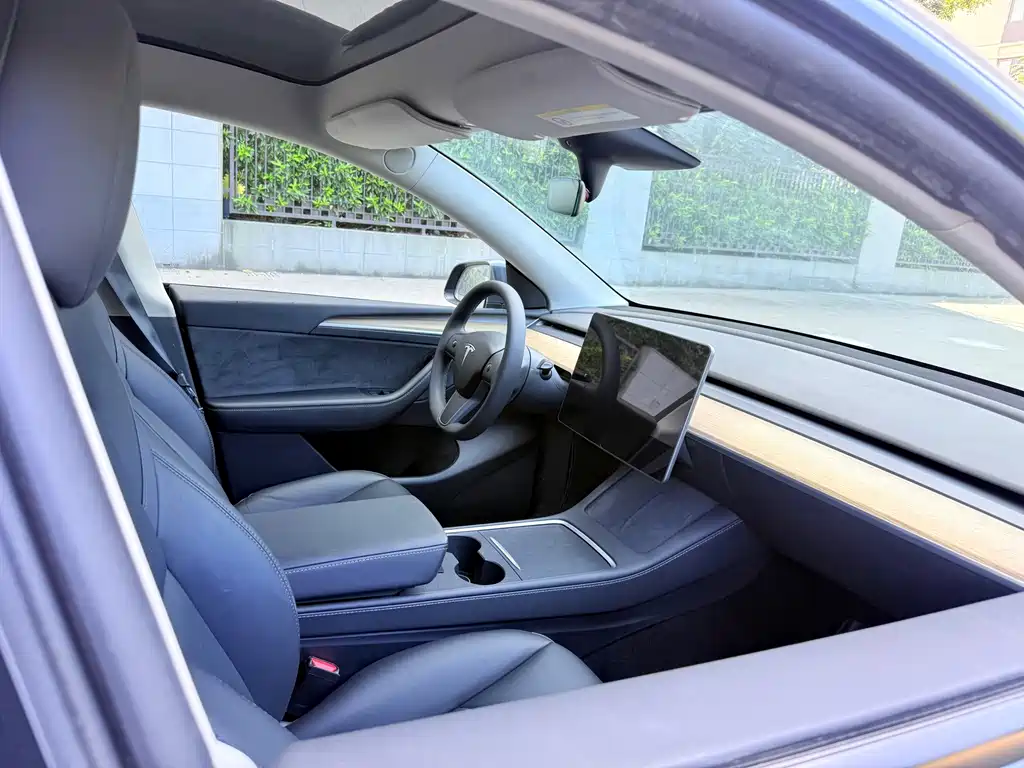 Tesla Model Y — миниатюра 12