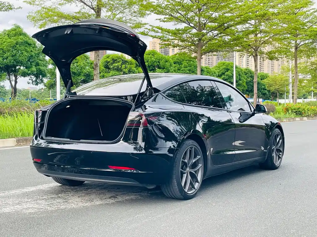 Tesla Model 3 — миниатюра 10