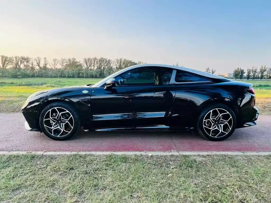 Neta Neta GT — миниатюра 9