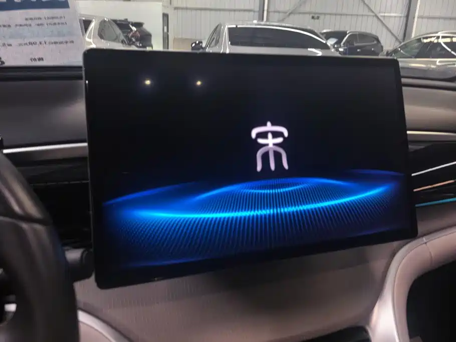 BYD Pro New Energy — миниатюра 13