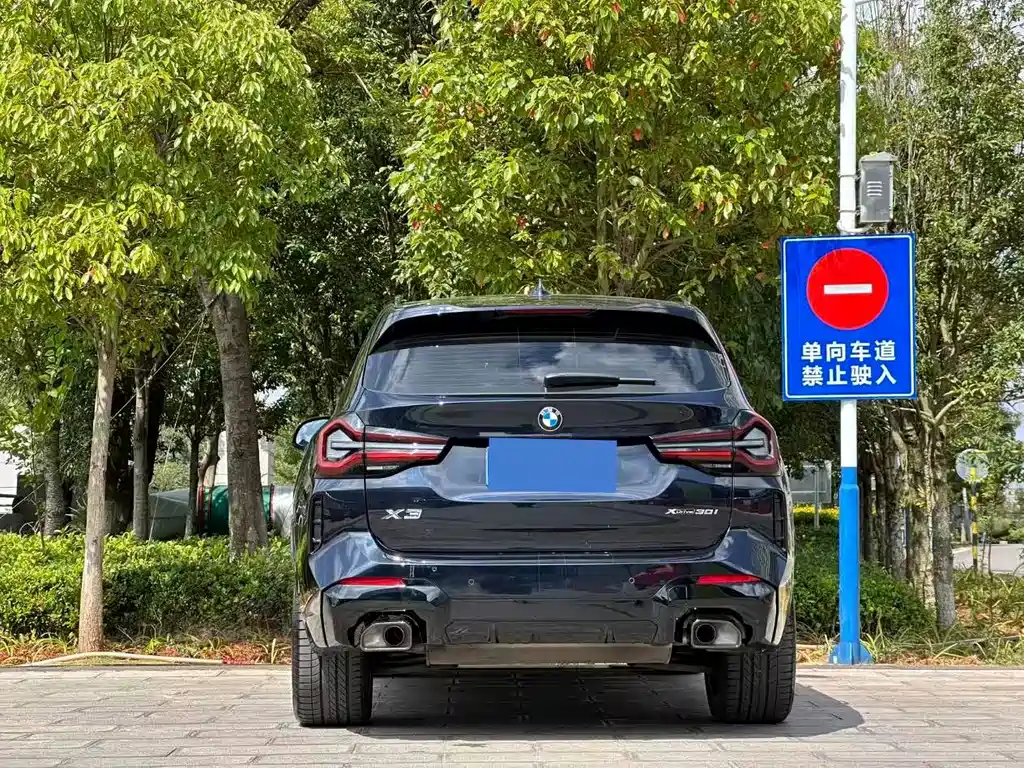 BMW X3 — миниатюра 8