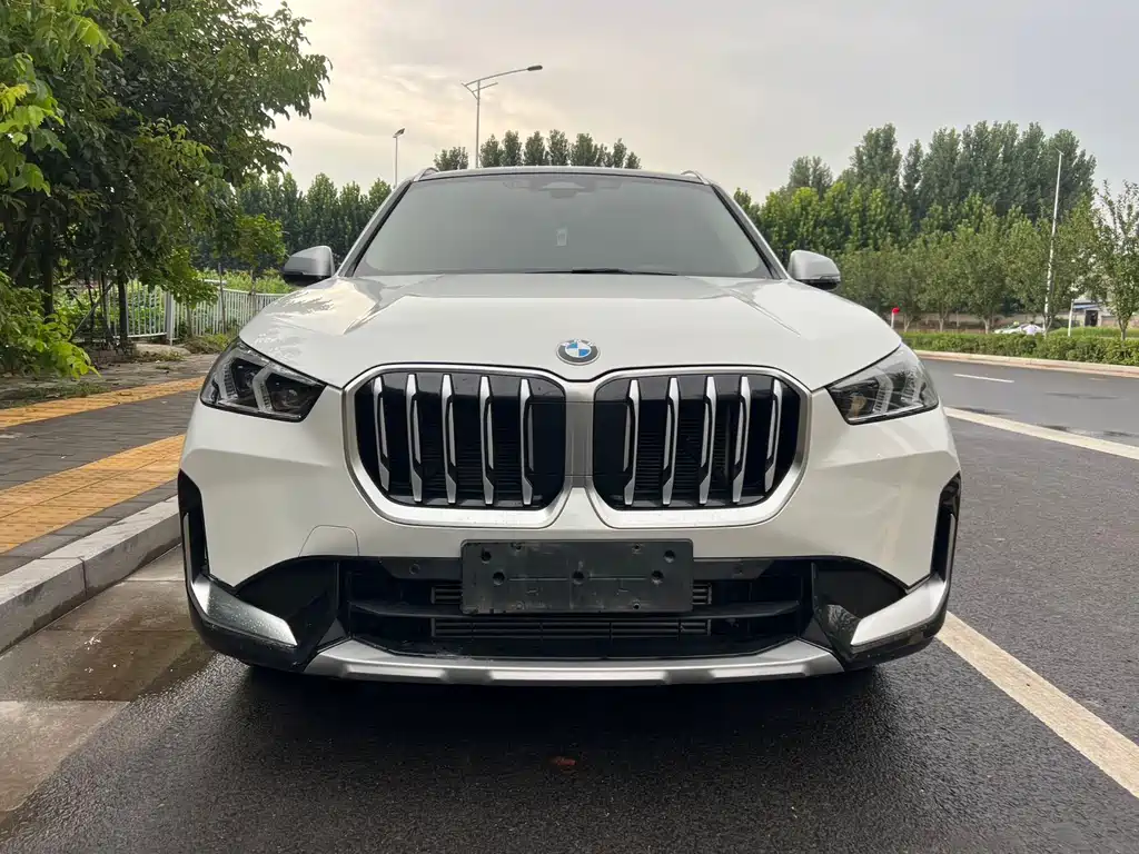 BMW X1 — миниатюра 2