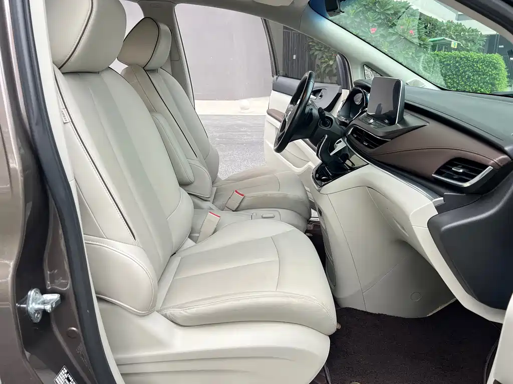 Buick GL8 — миниатюра 16