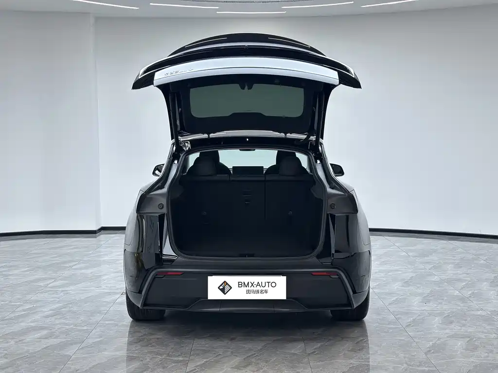 Tesla Model Y — миниатюра 6