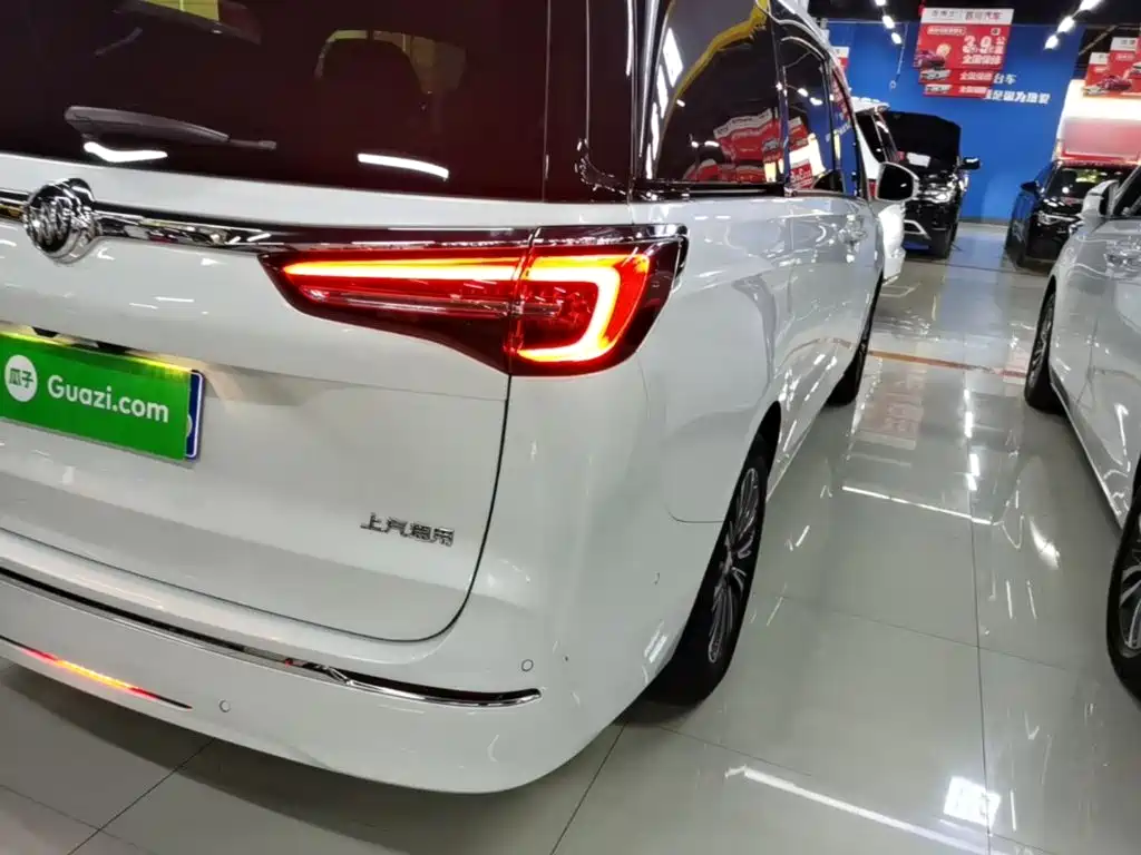 Buick GL8 — миниатюра 8