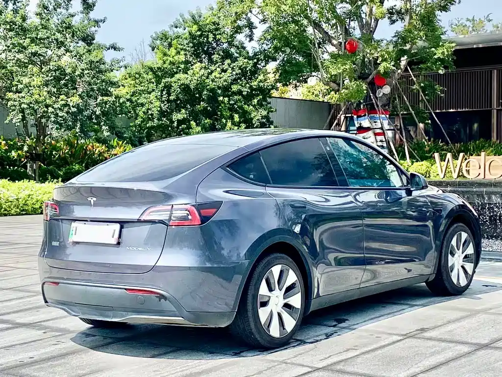 Tesla Model Y — миниатюра 9