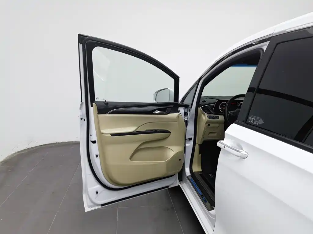 Buick GL8 — миниатюра 8