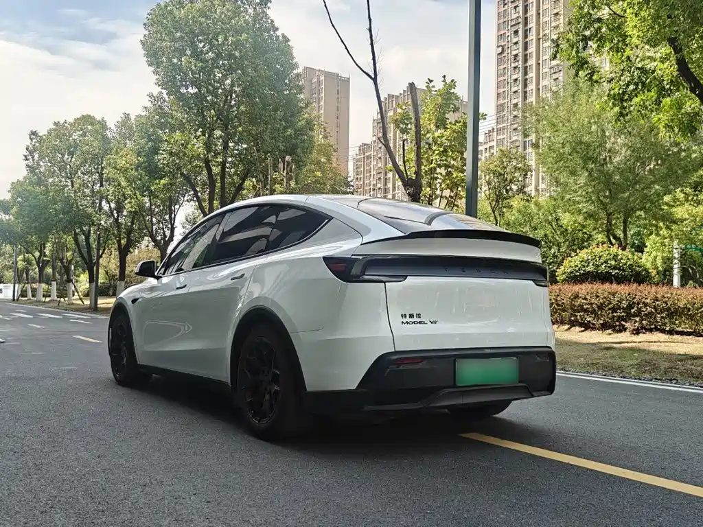 Tesla Model Y L — миниатюра 8