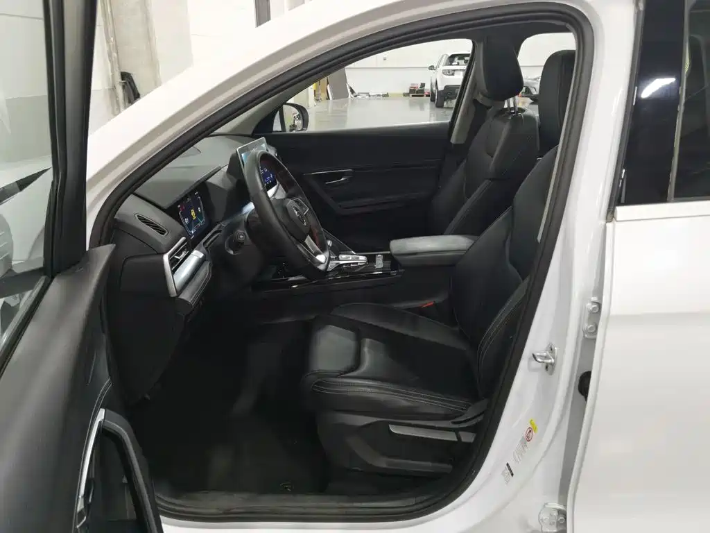 BYD Pro — миниатюра 10