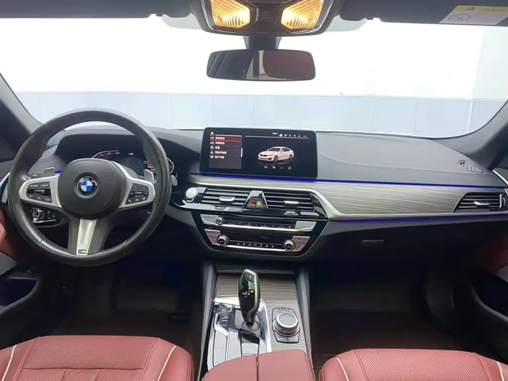 BMW 5 SERIES