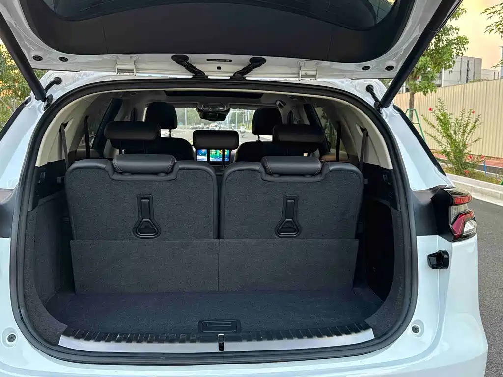BYD Tang New Energy — миниатюра 24