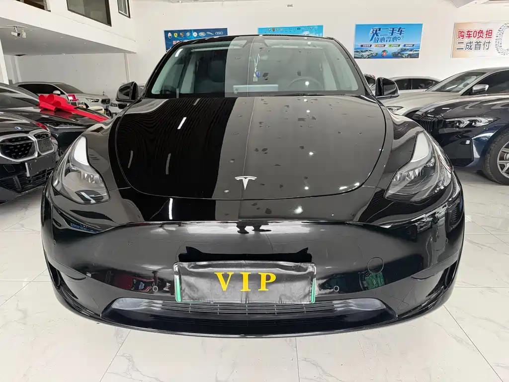 Tesla Model Y — миниатюра 2
