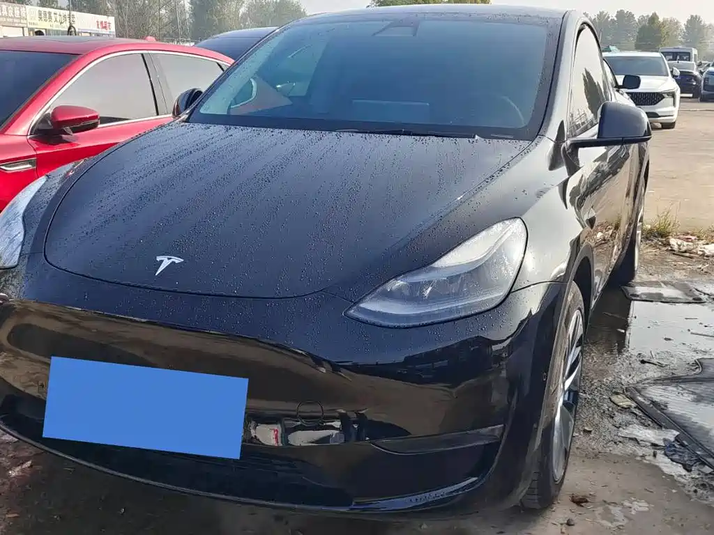 Tesla Model Y — миниатюра 3