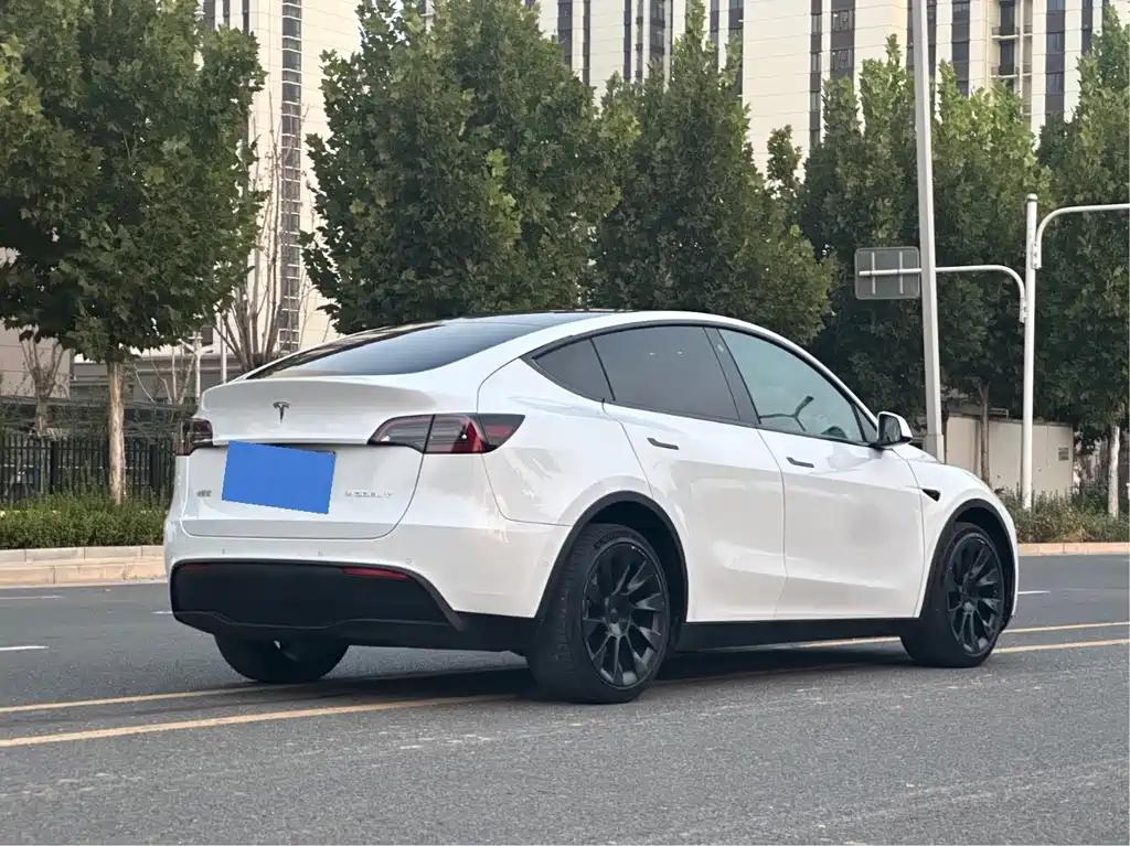 Tesla Model Y — миниатюра 9