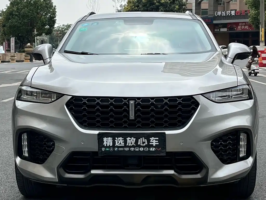 WEI PAI WEI BRAND VV7