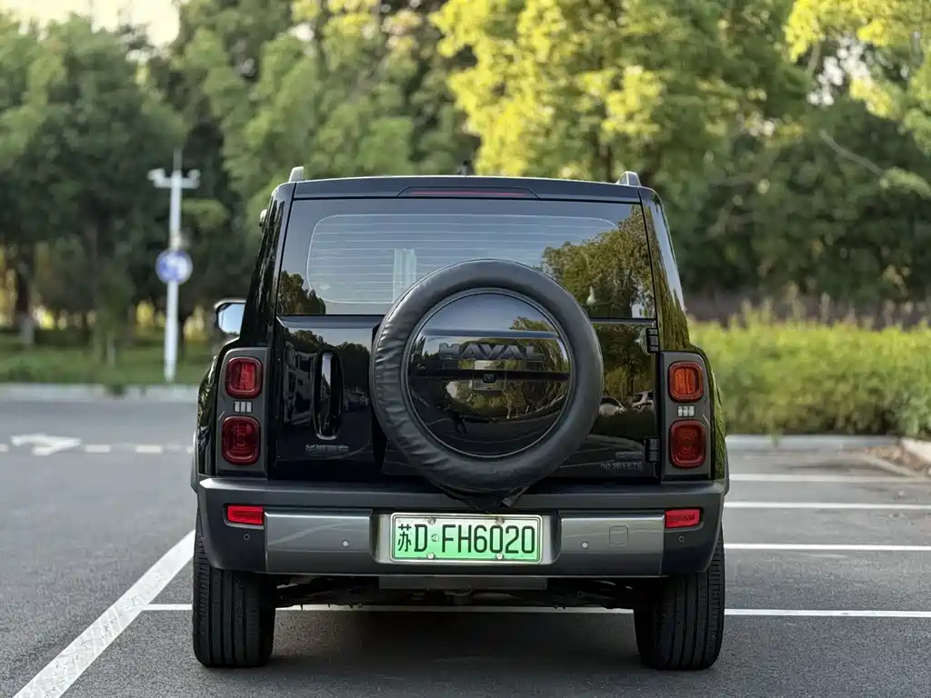Haval Menglong New Energy — миниатюра 5