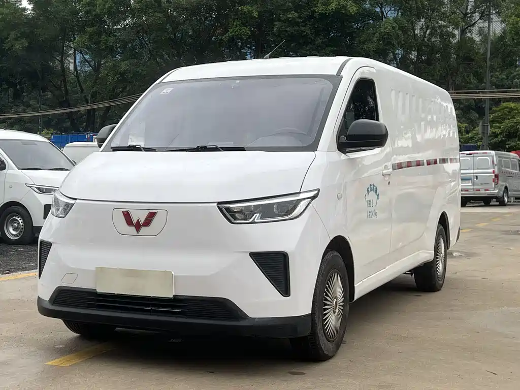 Wuling Yangguang 2024