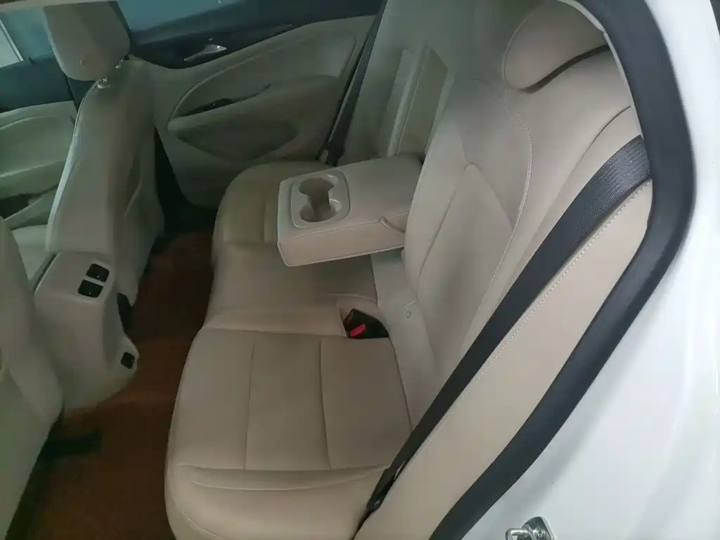 Buick Regal — миниатюра 17