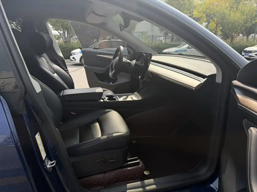 Tesla Model Y — миниатюра 5