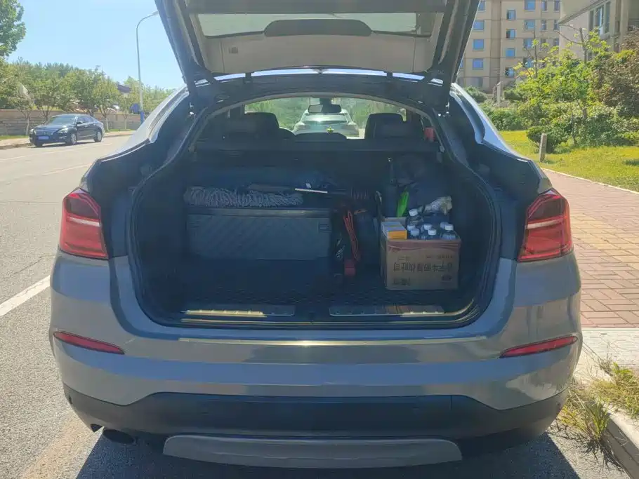 BMW X4 — миниатюра 4