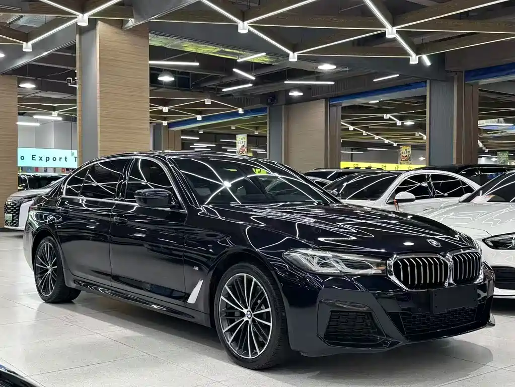 BMW 5 Series — миниатюра 3