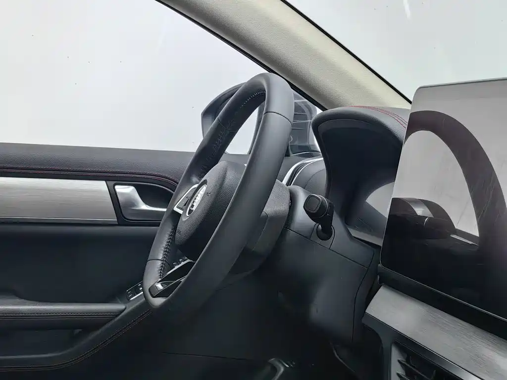 BYD Tang New Energy — миниатюра 22