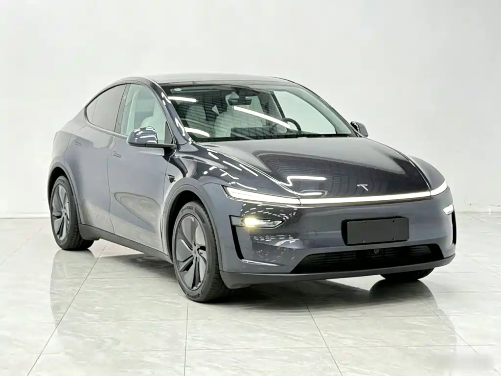 Tesla Model Y — миниатюра 4