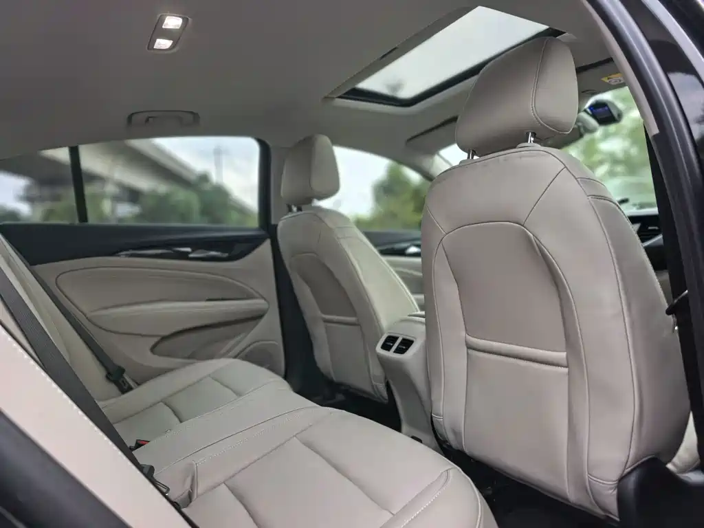 Buick Regal — миниатюра 14