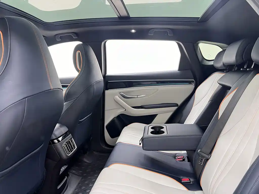 BYD PLUS New Energy — миниатюра 18