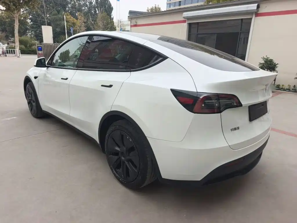 Tesla Model Y — миниатюра 5