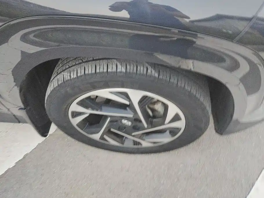 Hyundai Custo — миниатюра 6